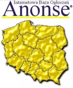 rozpoczęcie współprodukcji kodu z wyszukiwarką dla nowego portalu Anonse.pl